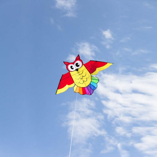 Owl Kite - Eulen-Drachen Owl Kite - Eulen-Drachen