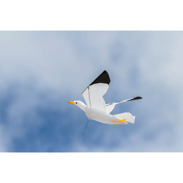 Seagull Kite 3D - Drache Seagull Kite 3D - Drache