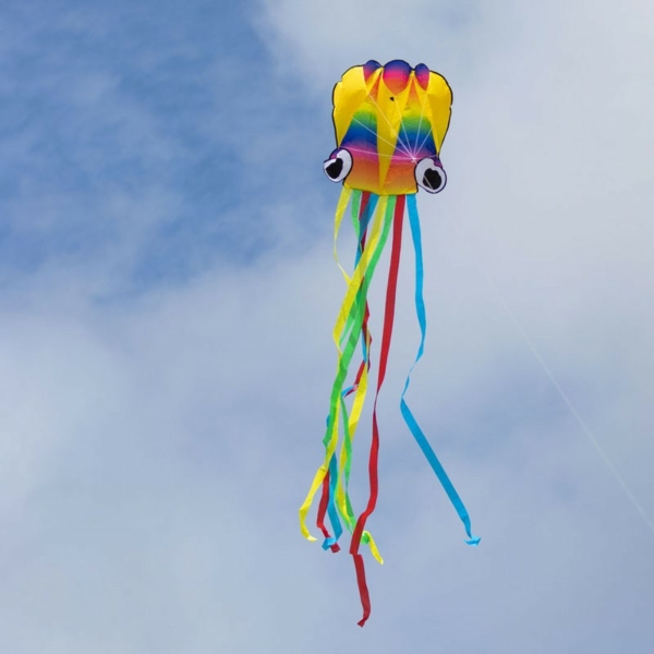Rainbow Octopus - Image 2