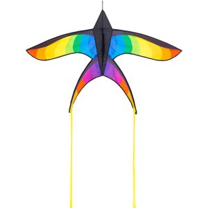 Swallow Kite Rainbow
